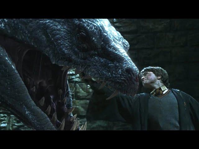 Harry Potter vs Basilisk inside chamber of secrets | Harry Potter and the Chamber of Secrets