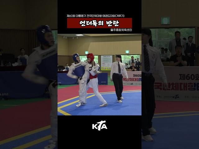 언더독의 반란