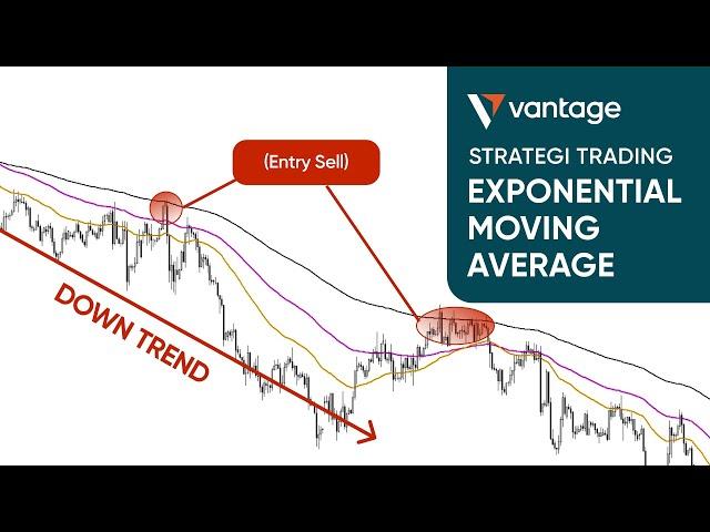 Cara AMPUH Meraih PROFIT Menggunakan EXPONENTIAL MOVING AVERAGE Untuk TRADING ! #strategitrading