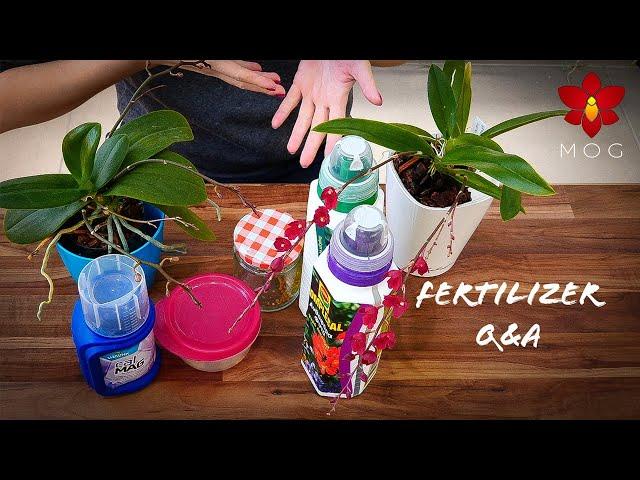 Orchid Fertilizers Q&A | All you need to know.. almost 