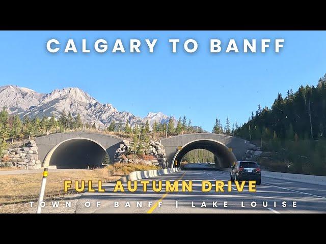 ROAD TRIP from CALGARY to BANFF: Full Autumn Drive #drive #calgary #banff #lakelouise