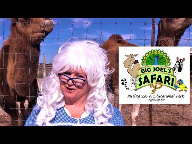 Learning about Animals at Big Joel's Safari | Educational Video for kids with Granny McDonald