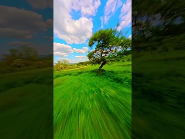 Yet Another FPV Drone Attempting 'Powerloop'... Riveting. #fpv #fpvdrone #fpvfreestyle #fpvcinematic