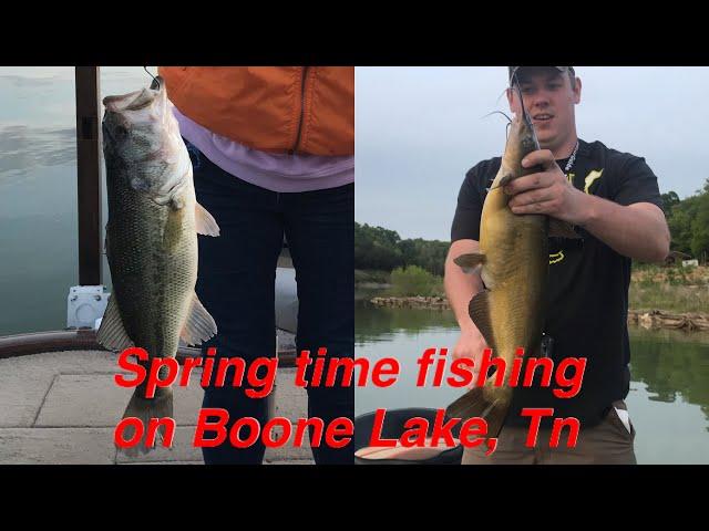 Fishing Boone lake TN mid spring 2020