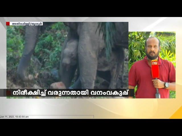 നൊമ്പരമായി തുമ്പികൈ ഇല്ലാത്ത ആനക്കുട്ടി
