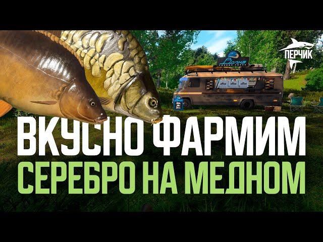 Медное: вкусный фарм на актуальных точках ● Русская рыбалка 4 ● Перчик РР4