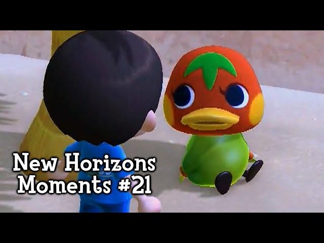 New Horizons Moments #21 (Animal Crossing)
