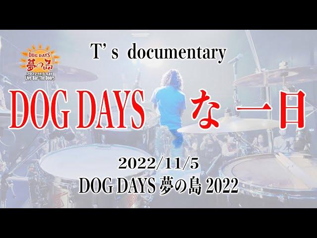 DOG DAYSな一日（DOG DAYS 夢の島 2022 documentary）