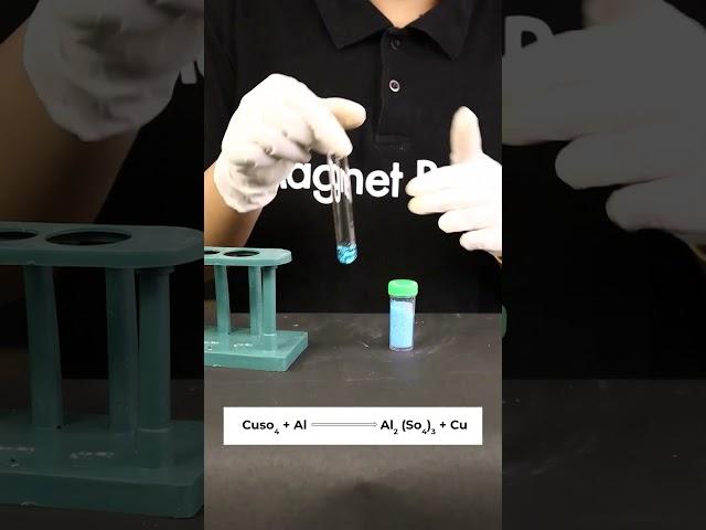  Displacement Reaction Experiment  #shorts #magnetbrains