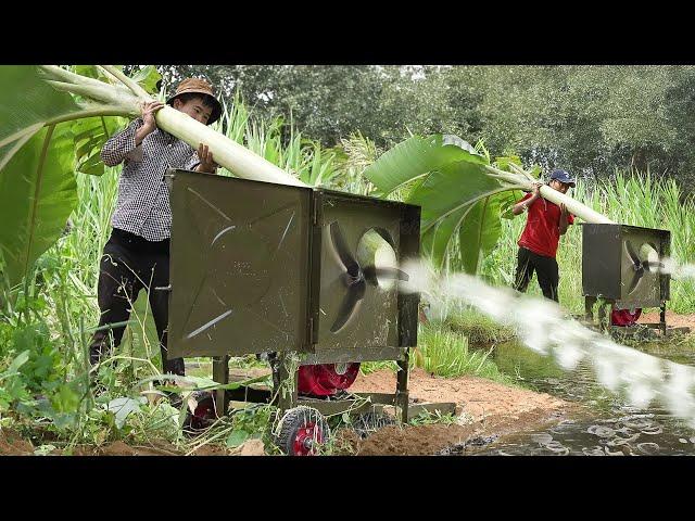 Genius Way They Feed Fishes by Slicing Banana Trees