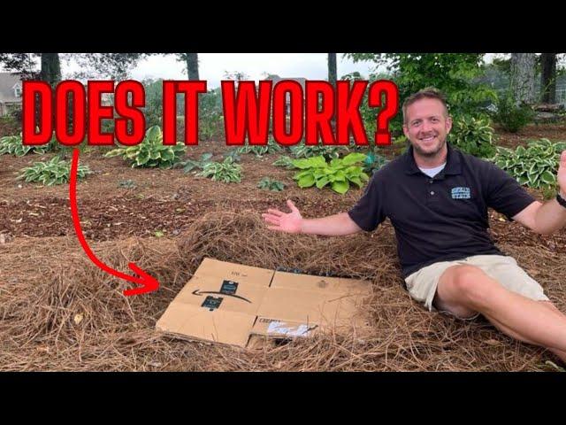 The TRUTH About Using Cardboard in your Landscape