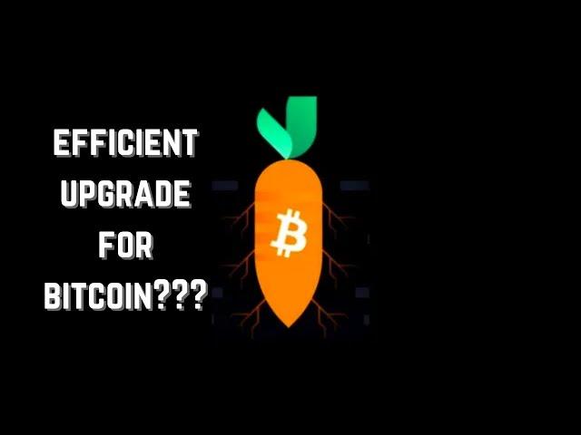 Taproot - The Long Anticipated Upgrade To Bitcoin