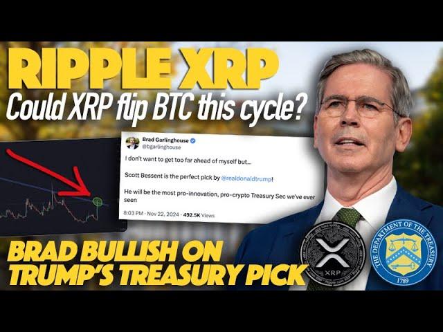 Ripple XRP: Brad Bullish On Bessent Pick For Treasury & Could XRP Flip BTC This Cycle?