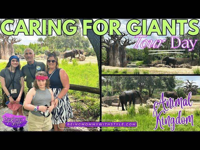 Caring for Giants Tour at Disney's Animal Kingdom | Disney World Vlogs