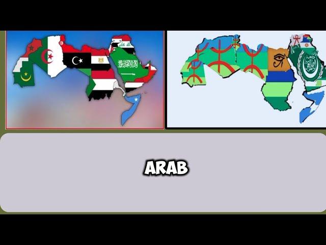 Information about arab league