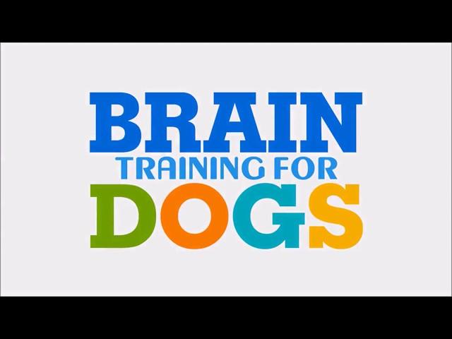 Best Brain Training For Dogs Video By Professional Trainer Adrienne Farricelli.