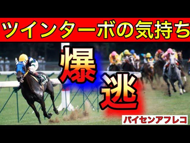 【馬の気持ちシリーズ】ツインターボの気持ち【競馬】