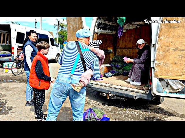 The market is very far from Odessa. How much do peas cost in the village of Shevchenkovo?