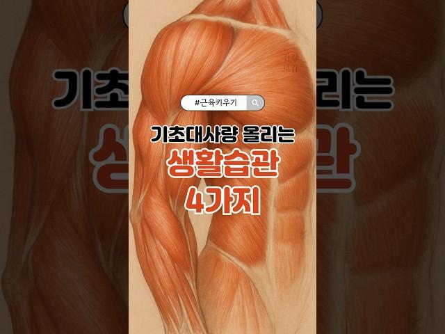기초대사량 올리는 생활습관 4가지 #기초대사량#살안빠질때#중년다이어트#대사량올리기#건강습관