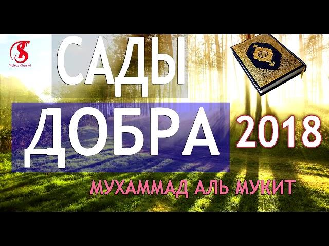 Новый нашид 2018, САДЫ ДОБРА Мухаммад аль Мукит