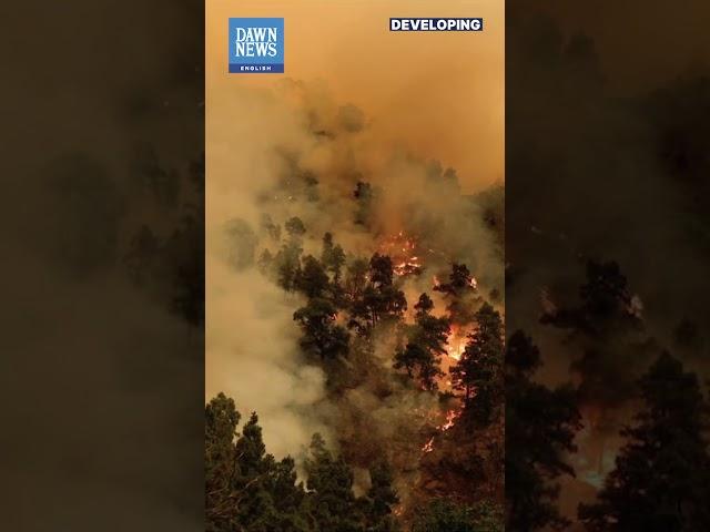 Wildfire On Spain's Tenerife Spreads Across Island's North | Developing | Dawn News English