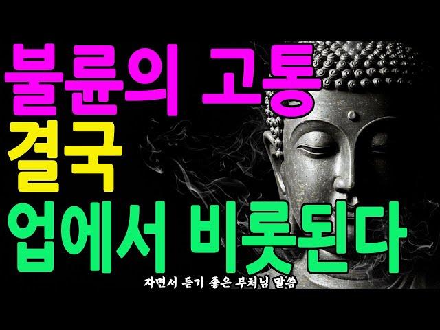 불륜은 업이다? 부처님께서 밝히신 인연과 번뇌의 깊은 진실ㅣ부처님 말씀ㅣ불교 명언ㅣ석가모니 가르침ㅣ긍정의말