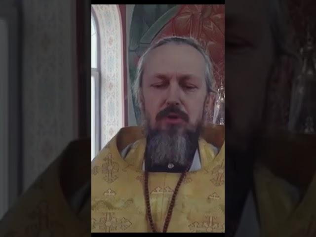 Главное в исповеди не переборщить. Архимандрит Аввакум Давиденко