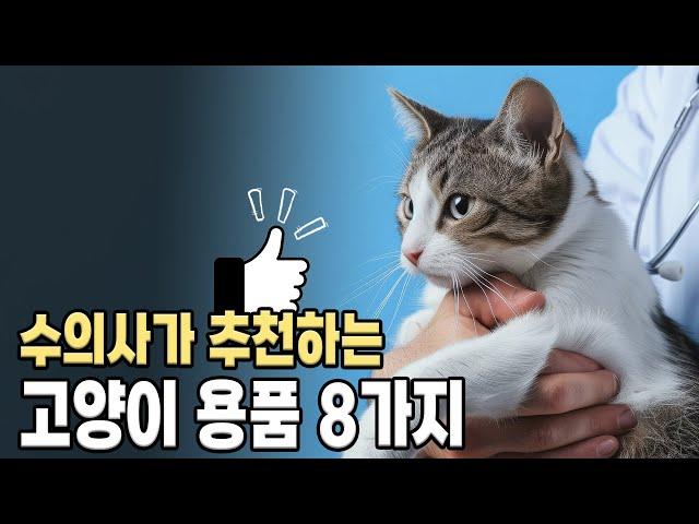 윤샘 추천 고양이 용품 8가지