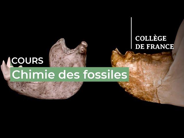 Chimie des fossiles (4) - Jean-Jacques Hublin (2023-2024)