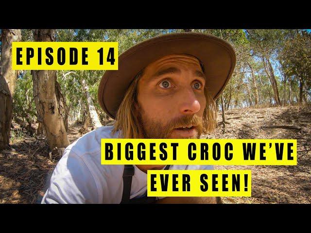 HUGE CROCODILE while fishing a secret lagoon in Cape York.