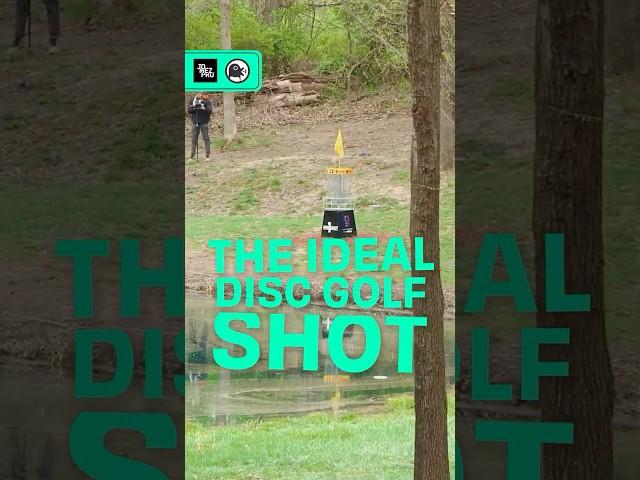 a truly ideal disc golf shot  