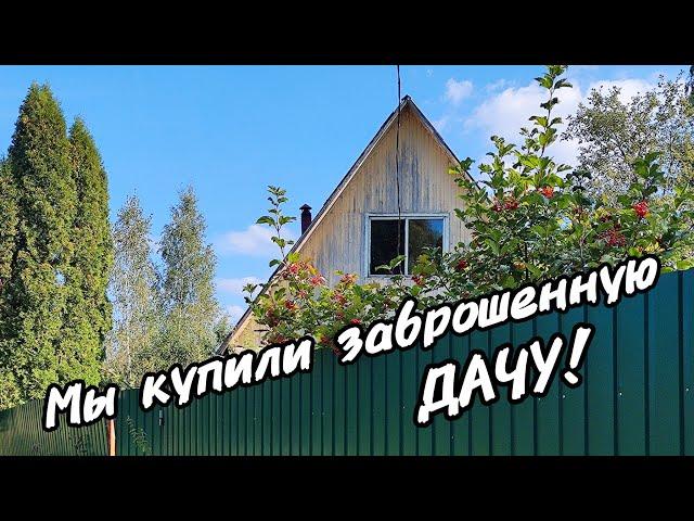 Сама в ШОКЕ! ! Купили заброшенную дачу!