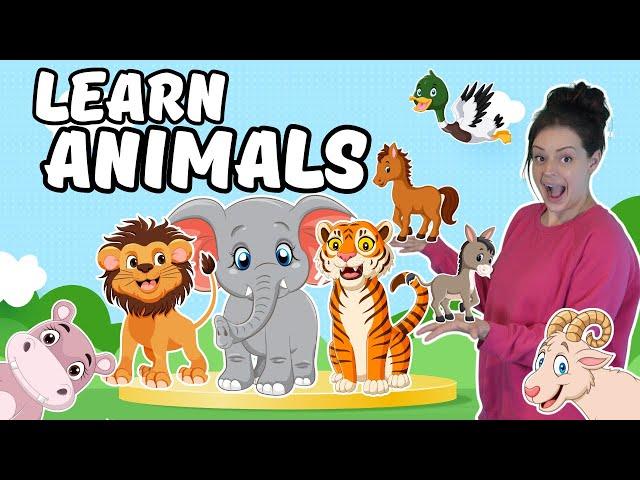 Learn Animals | Animal Names & Sounds | Water Play - Toddler Learning Video, Zoo, Farm, Animal Songs