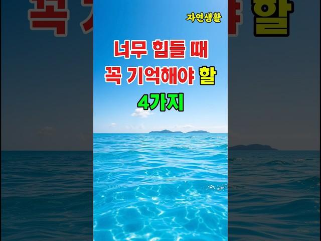 "포기하기 직전이라면 이 영상만은 끝까지 보세요"