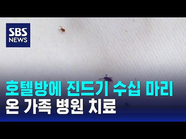 호텔방에 진드기 수십 마리…온 가족 병원 치료 / SBS