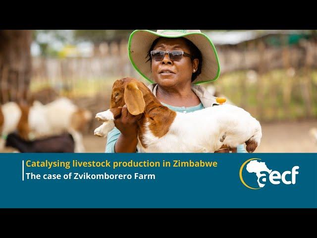 Catalysing livestock production in Zimbabwe: The Case of Zvikomborero Farm