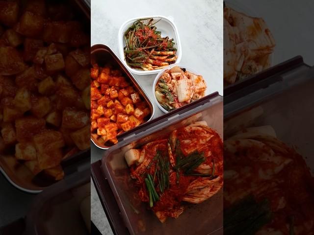 김치 담그기가 이렇게나 쉬운거랍니다.  올해 김장은 이렇게 해보세요. #배추김치 #썰은맛김치 #쪽파김치 #오이소박이 #깍두기