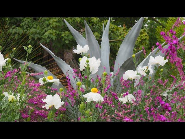 The Impact of the Ruth Bancroft Garden