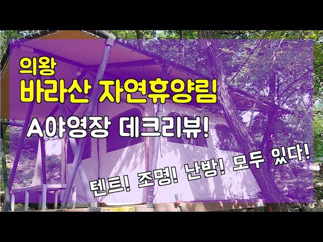 의왕 바라산 자연휴양림 A야영장 데크리뷰/ 텐트,조명, 난방 모두 갖추어진/숲속 산책길이 좋은/작은 계곡쉼터가 있는