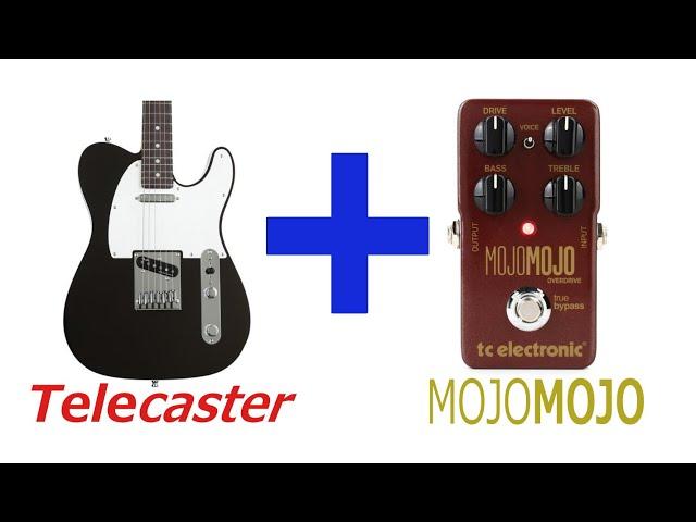 TELECASTER + MOJOMOJO OVERDRIVE!!!