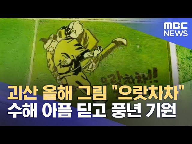 수해 딛고 풍년 기원‥ 괴산 논그림 "으랏차차" (2023.08.21/뉴스데스크/MBC충북)