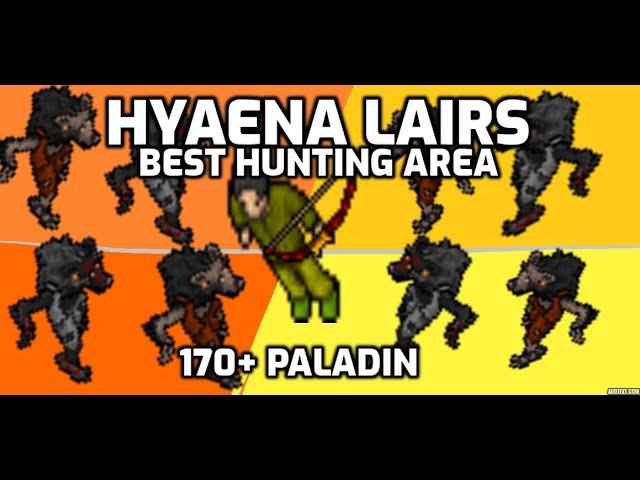 Hyaena Lairs - Best hunting area