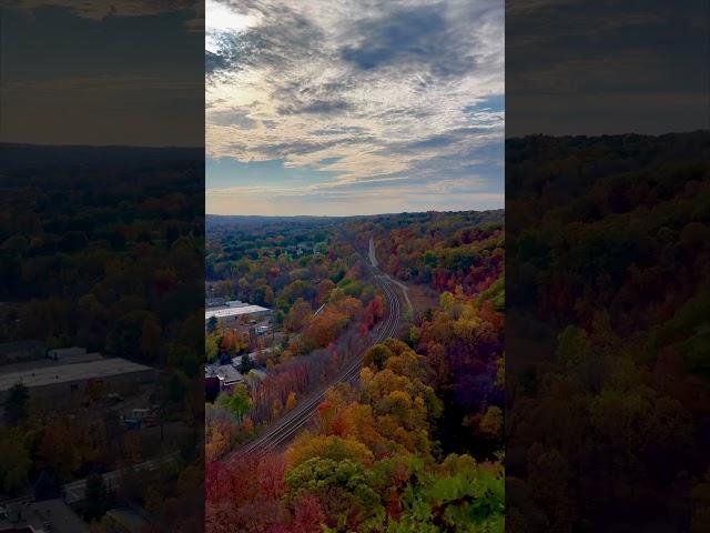 Dundas Peak views  #canada #fall #rels #dundas #ontario #fallseason #trail