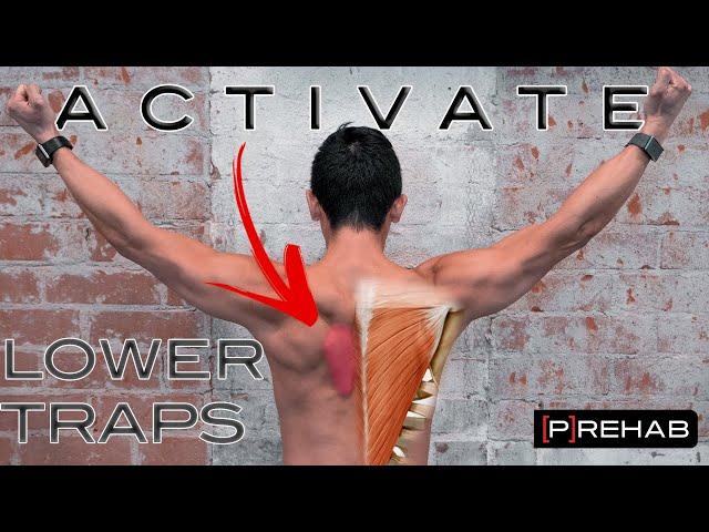 Improve Your Lower Trap Activation