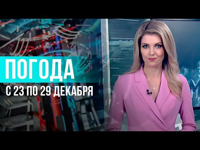 Погода на неделю 23-29 декабря 2024. Прогноз погоды. Беларусь | Метеогид