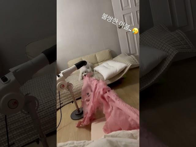 파괴왕 휴지#short