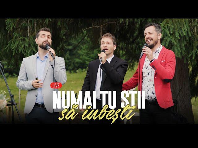 Christall Sound Trio - Numai Tu știi să iubești (wedding song) (LIVE)