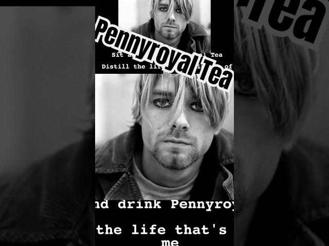 Pennyroyal Tea - Spoken Word Kurt Cobain #nirvana #grunge #rock #alternativerock