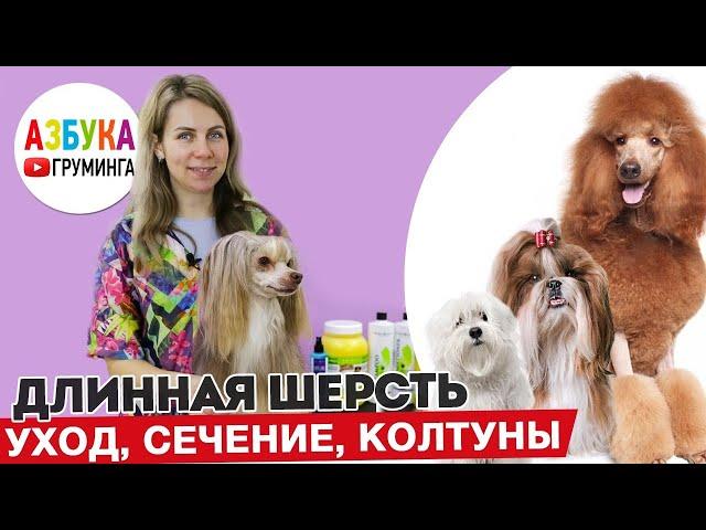 Груминг КХС пуховки, длинная шерсть - уход и восстановление