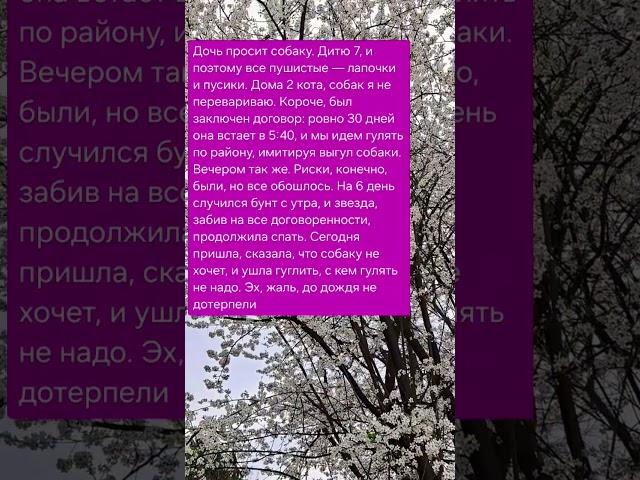 Домашние питомцы #добро #жизнь #семья #забота #отношения #психология #любовь